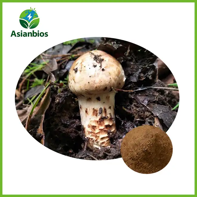 Matsutake Mushroom Powder